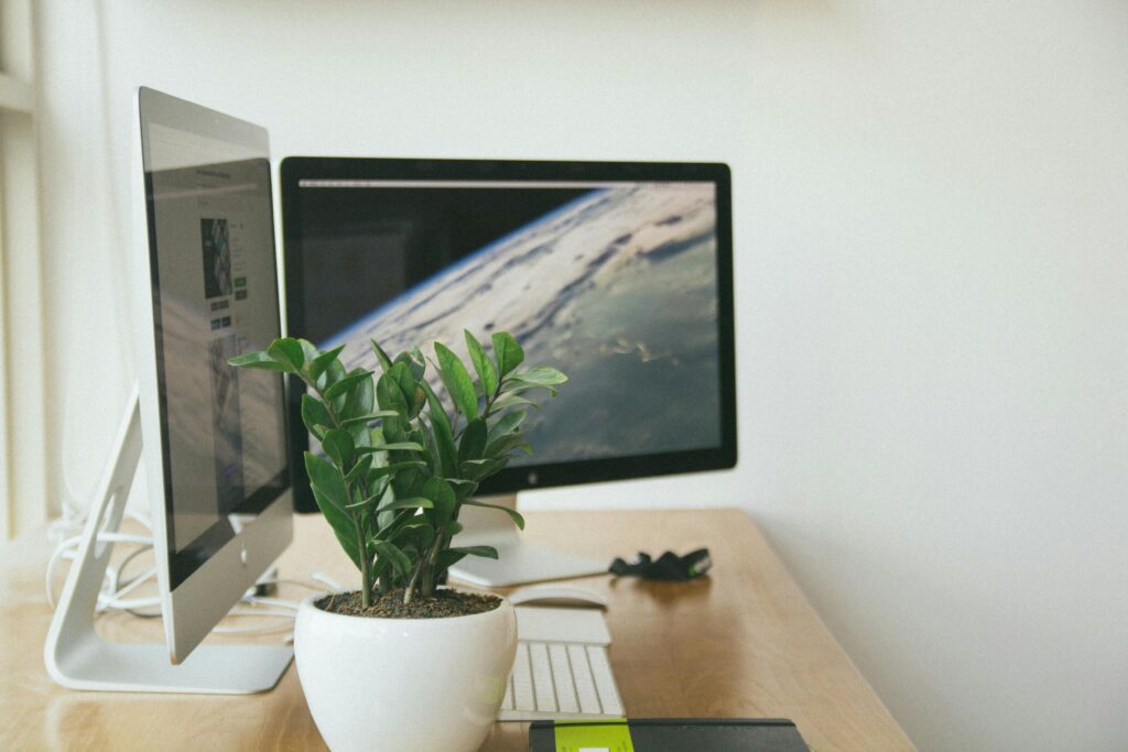 A clean and organized workspace featuring dual monitors and a potted plant.